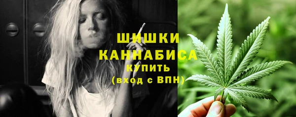 2c-b Мегион