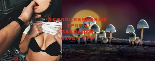 2c-b Мегион
