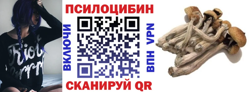 Псилоцибиновые грибы Psilocybine cubensis  гидра tor  Удачный 